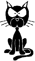 chat