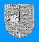 sanglier