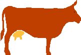 vache
