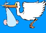 cigogne
