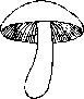 champignon