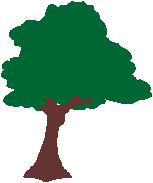 arbre