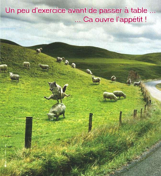 Loup
